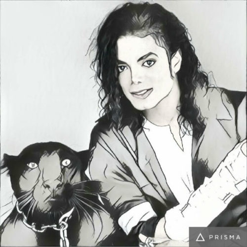 Prisma filters on Michael Jackson Curly hair