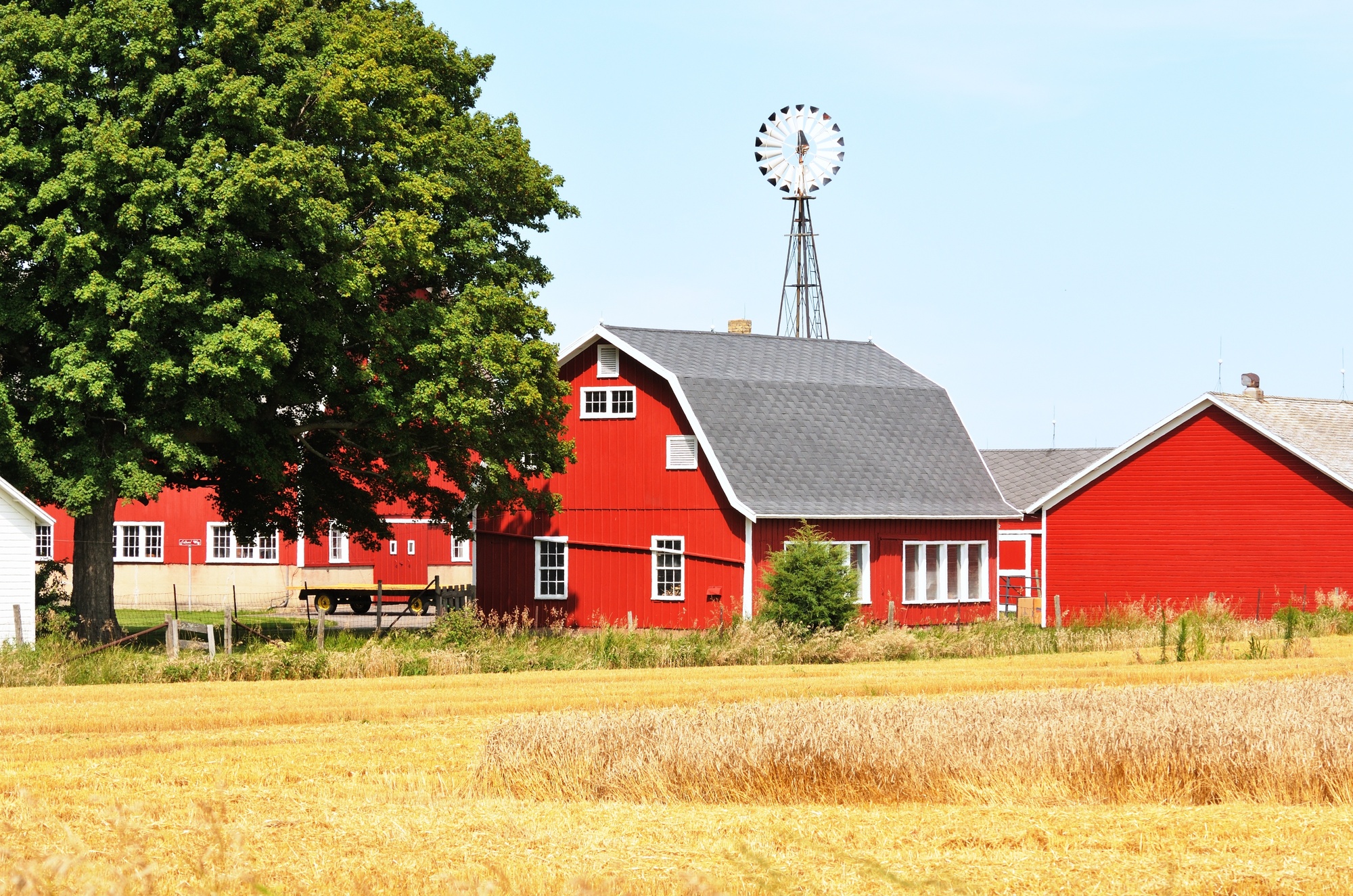 Awesome Barn Design Ideas to Make You the Envy of Your Friends