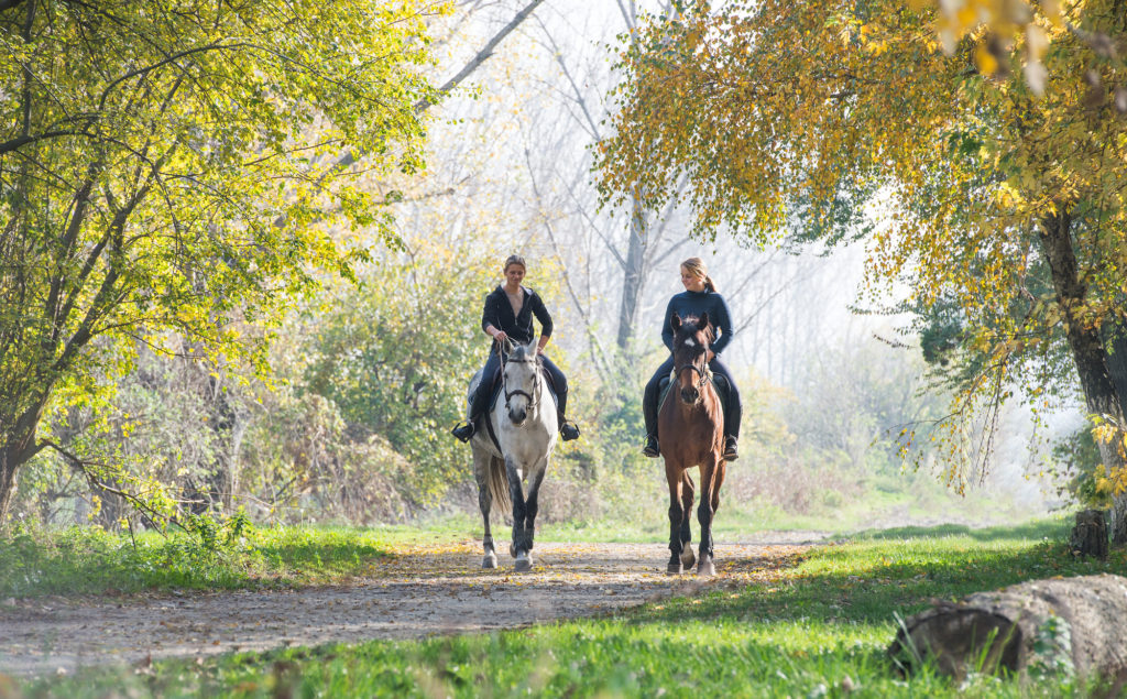 benefits of horseback riding