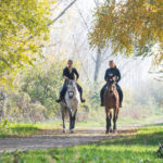benefits of horseback riding