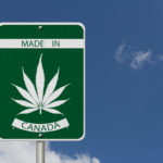 weed in canada