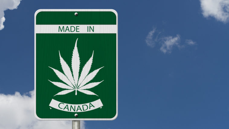weed in canada