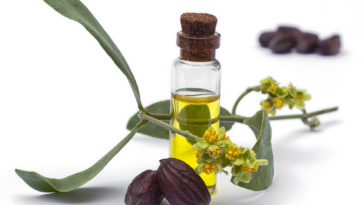 benefits of jojoba oil