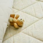 bear on mattress