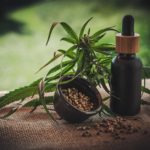 CBD oil and seeds with plant