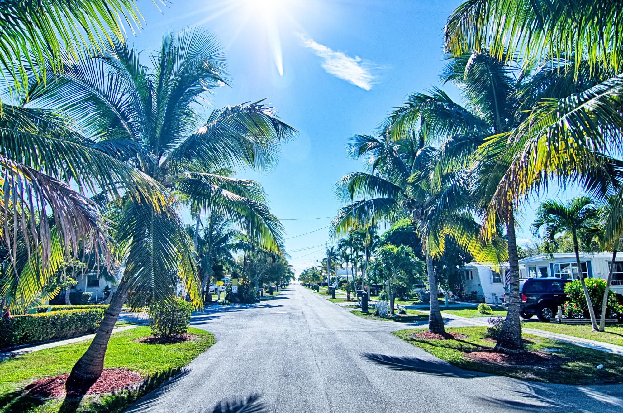 Sunny Florida Neighborhood