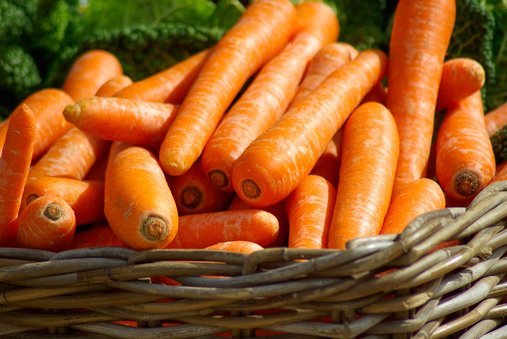 Carrots for Fresh Breath