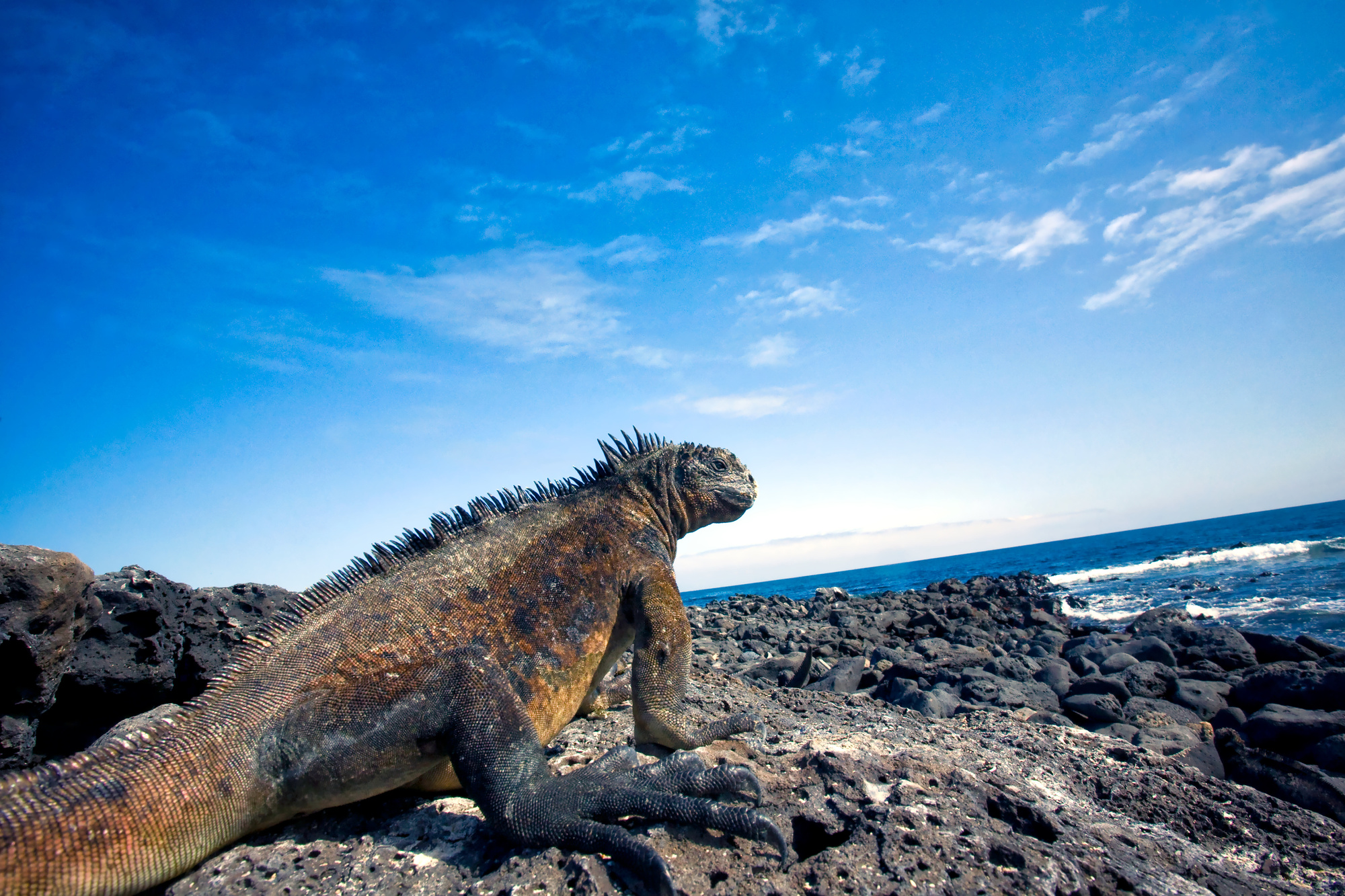 galapagos island trips